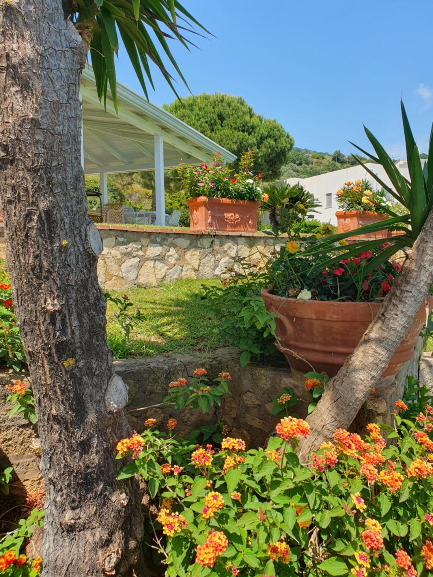 Casa Guido Leilighet Cittadella del Capo Eksteriør bilde